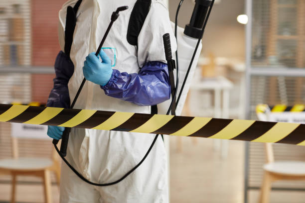 Professional Sewage Cleanup technician working in East Rutherford, NJ